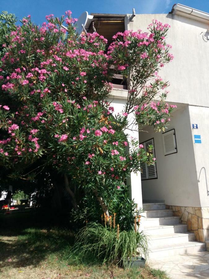Apartman Nona Povljana Εξωτερικό φωτογραφία