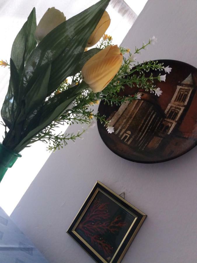 Apartman Nona Povljana Εξωτερικό φωτογραφία